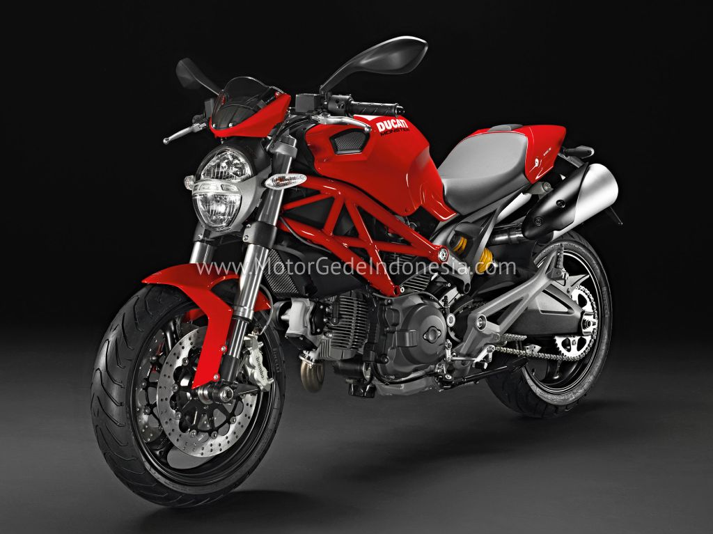 Дуги и клетка на мотоцикл Ducati Monster 696